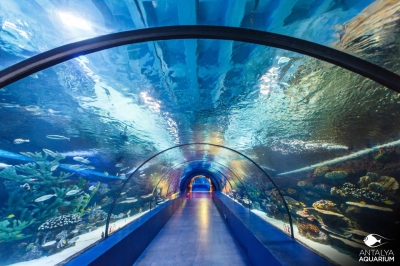 Antalya Aquarium VIP Transfer | Antalya Havalimanı – Antalya Aquarium Özel Transfer